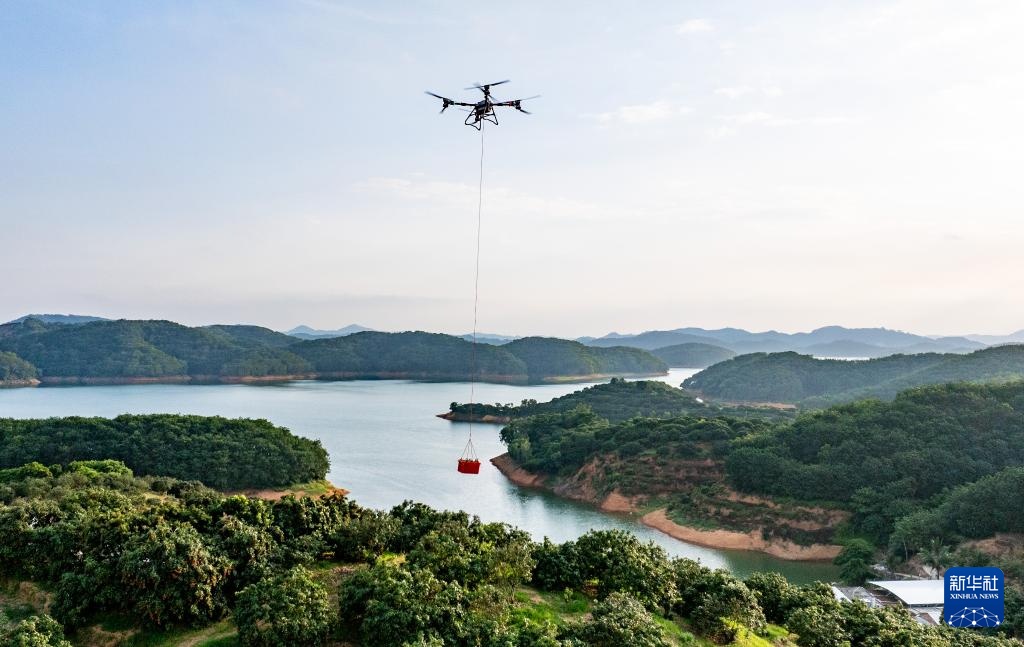 无人机拓路 助“荔”飞达 无人机拓路 助“荔”飞达