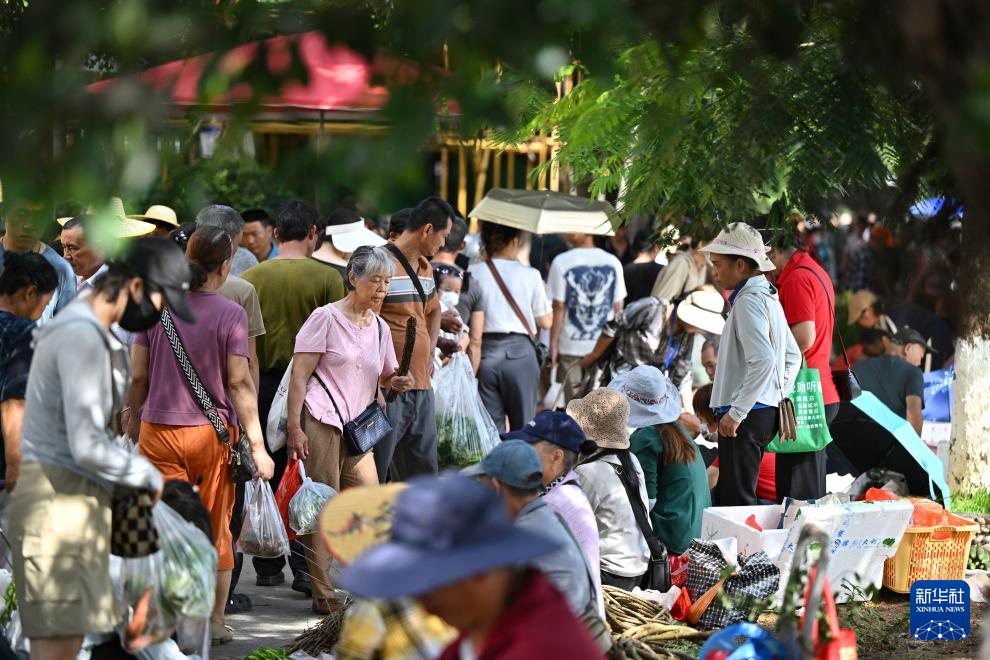 海南:山城好物 消费助农 海南:山城好物 消费助农