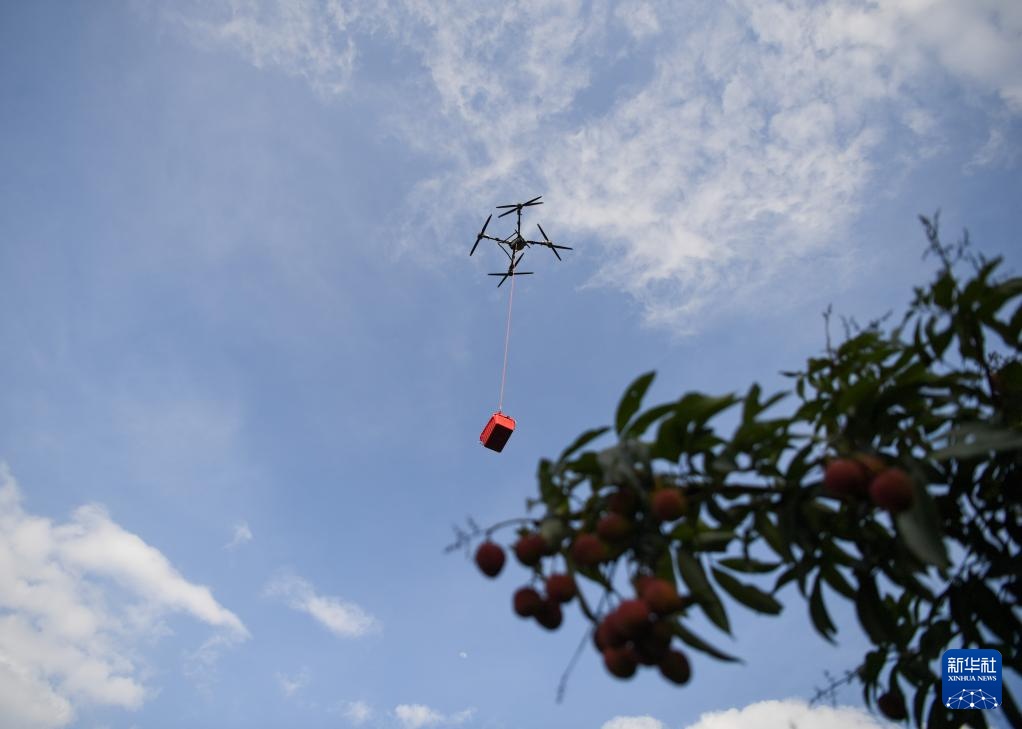 无人机拓路 助“荔”飞达 无人机拓路 助“荔”飞达