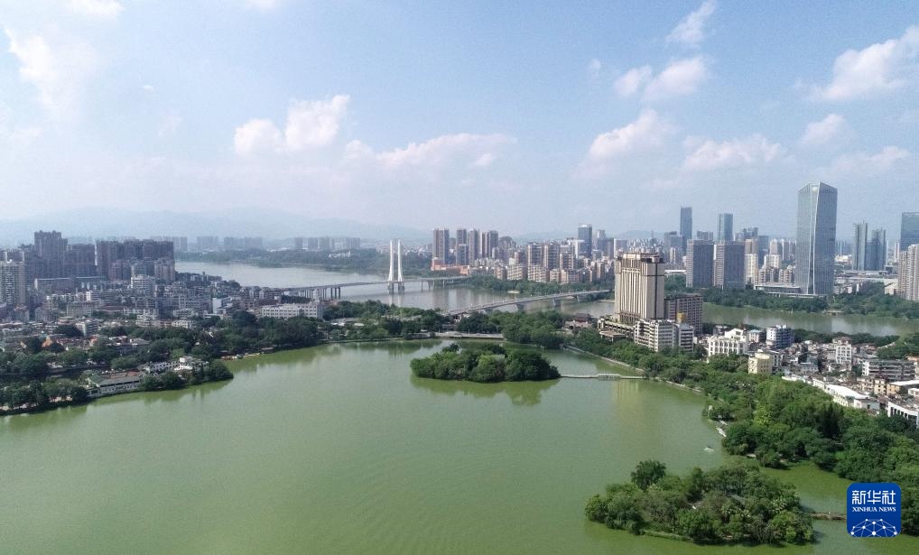 广东惠州:西湖鸟岛 百鸟欢歌 广东惠州:西湖鸟岛 百鸟欢歌