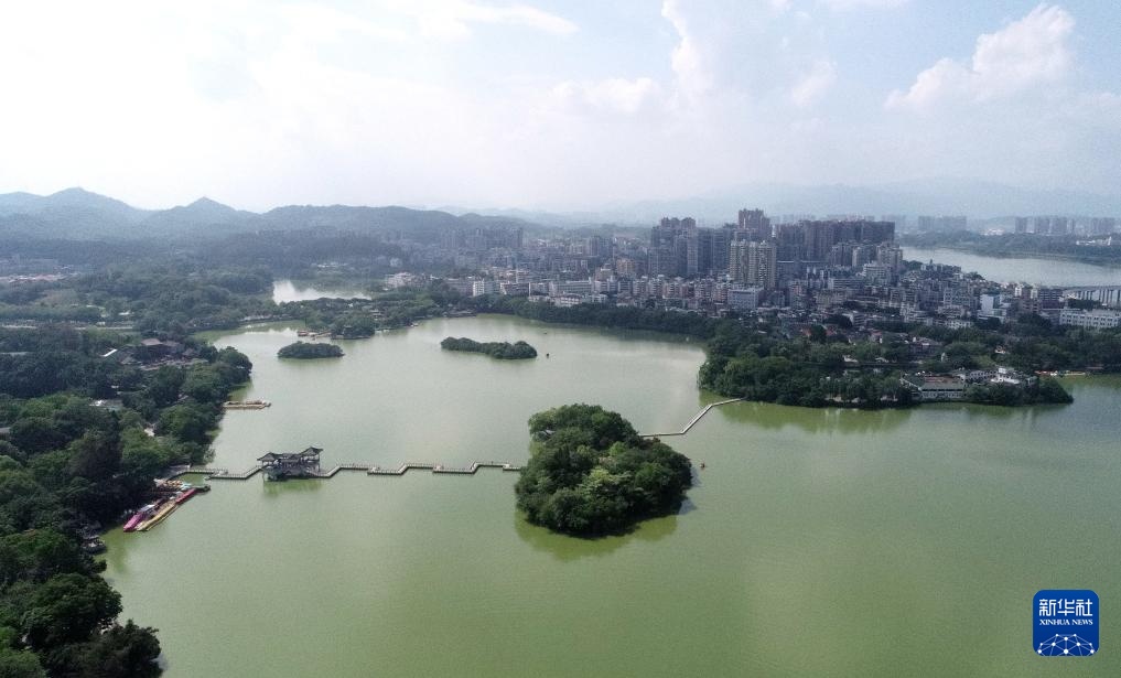 广东惠州:西湖鸟岛 百鸟欢歌 广东惠州:西湖鸟岛 百鸟欢歌