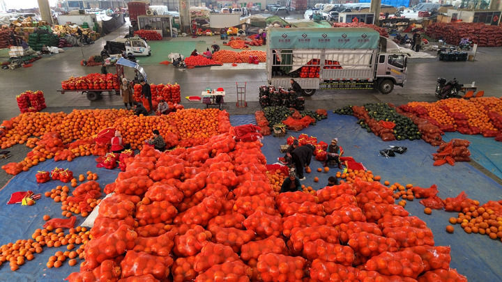 中国经济样本观察县域样本篇｜“中国蔬菜之乡”为什么是这座山东小城？