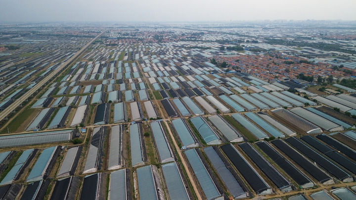 中国经济样本观察县域样本篇｜“中国蔬菜之乡”为什么是这座山东小城？