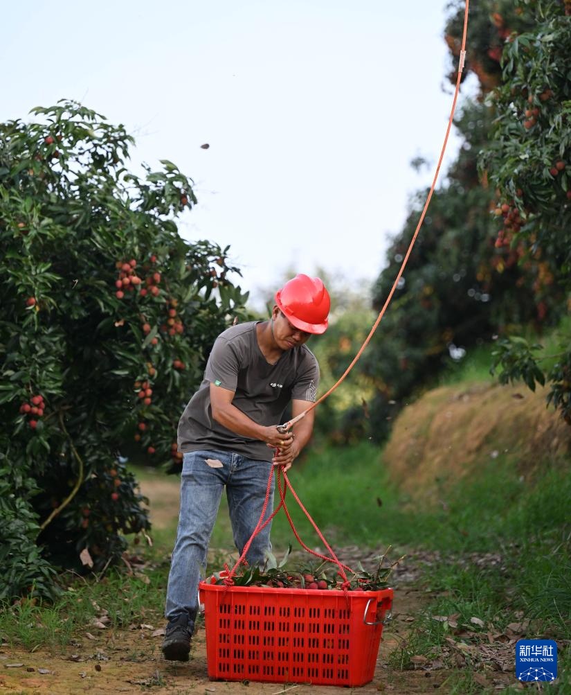 无人机拓路 助“荔”飞达 无人机拓路 助“荔”飞达