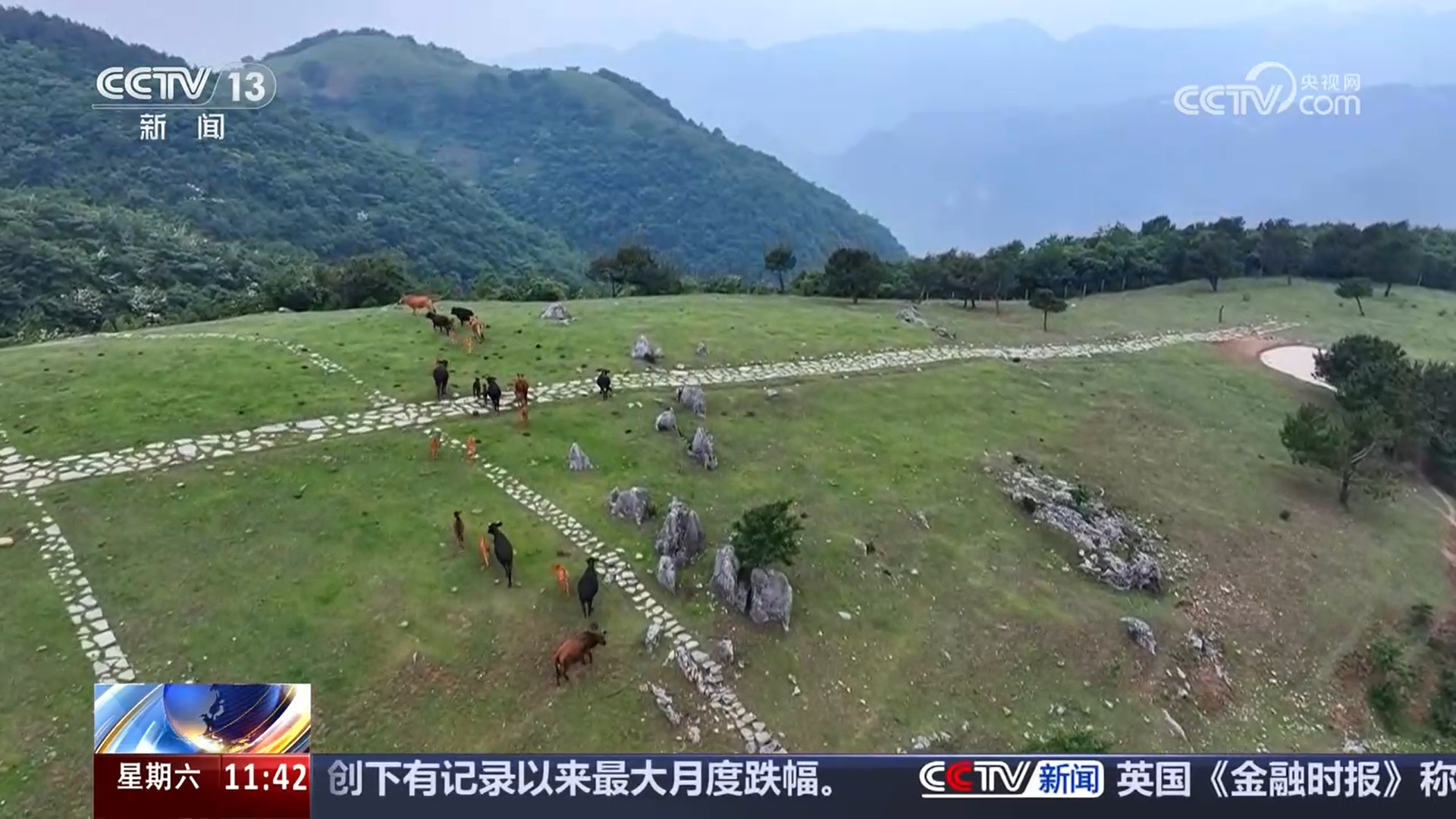 生态好了游客多了 多元消费新场景激发夏日经济新活力