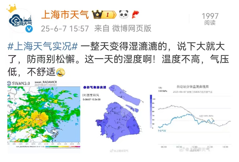 上海发布雷电黄色预警!雨说大就大,实在“齁湿”!网友:开空调除湿保命 上海发布雷电黄色预警!雨说大就大,实在“齁湿”!网友:开空调除湿保命