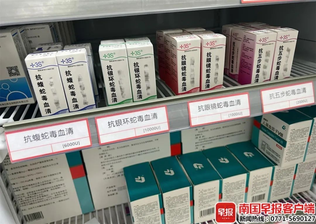 广西一男子被毒蛇咬伤,注射血清后仍陷入昏迷!再次注射后…… 广西一男子被毒蛇咬伤,注射血清后仍陷入昏迷!再次注射后……