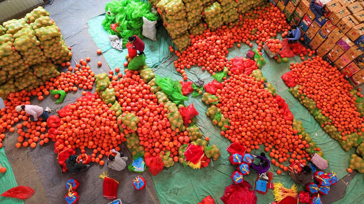 中国经济样本观察县域样本篇｜“中国蔬菜之乡”为什么是这座山东小城？