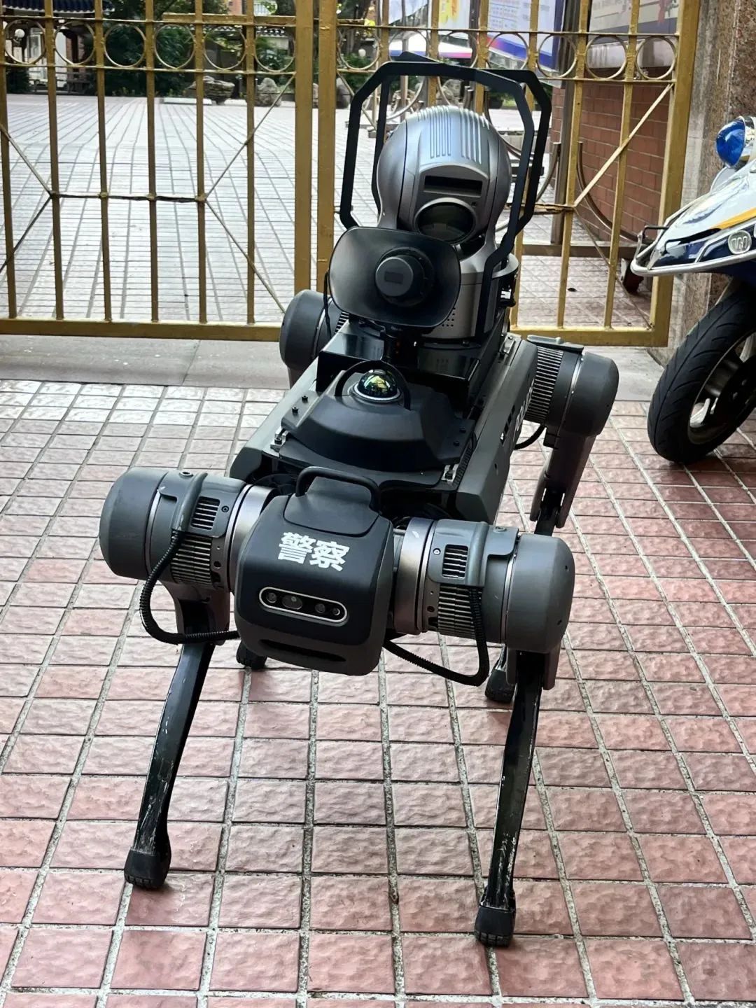 广东高考作文题出炉!广州机械警犬加入安保,高考首日现场图→ 广东高考作文题出炉!广州机械警犬加入安保,高考首日现场图→