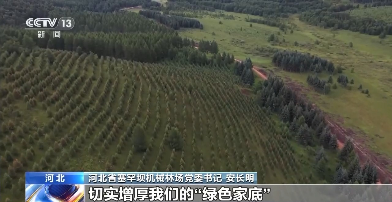 机械治沙造林比例接近50%!“三北”工程攻坚战取得新进展 机械治沙造林比例接近50%!“三北”工程攻坚战取得新进展