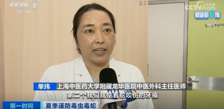 上海医院接诊蛇咬伤事件增多,如何辨别是否为毒蛇所咬 上海医院接诊蛇咬伤事件增多,如何辨别是否为毒蛇所咬