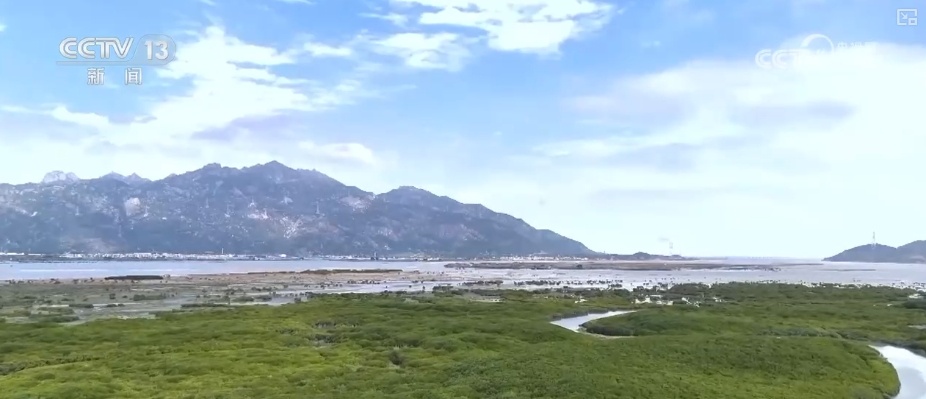 制度完善→设施升级→系统修复,结硕果!多维度绘就海洋生态保护美丽画卷 制度完善→设施升级→系统修复,结硕果!多维度绘就海洋生态保护美丽画卷