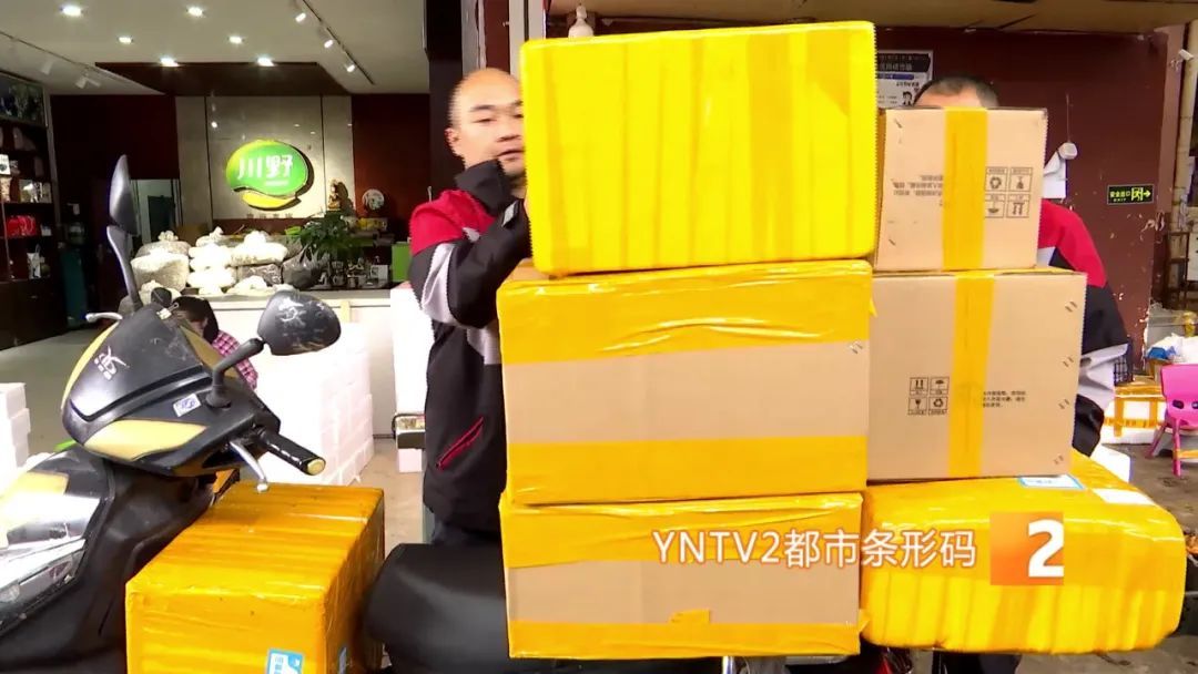 才开始，单日寄件已超2000单！云南野生菌火到全国各地……