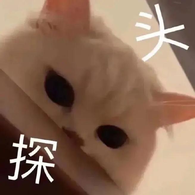 上不封顶,月薪8万不是梦! 上海这个职业火了,用人缺口巨大…