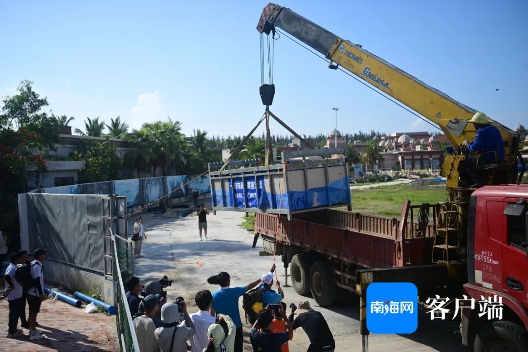 今天,“阳阳”回家! 今天,“阳阳”回家!