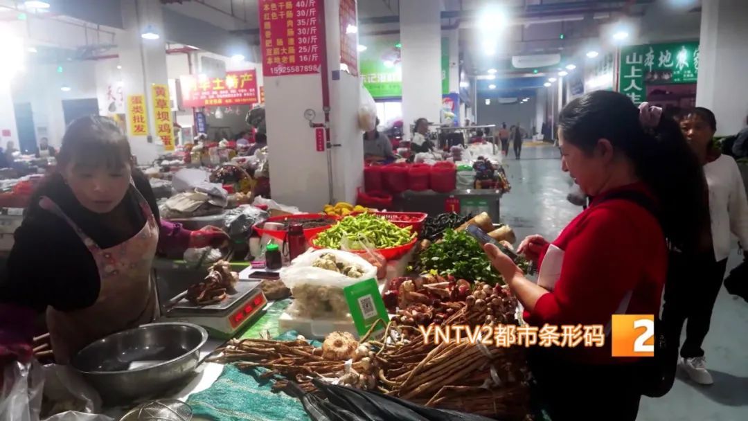才开始，单日寄件已超2000单！云南野生菌火到全国各地……