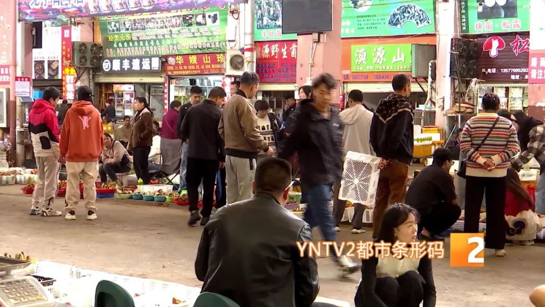 才开始，单日寄件已超2000单！云南野生菌火到全国各地……