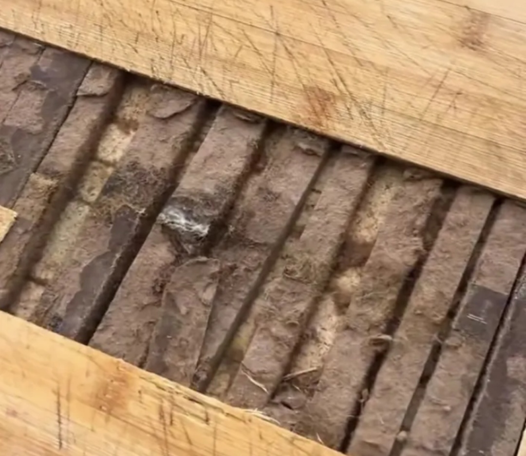 毒过砒霜!100℃高温杀不死!你家常用的这个东西藏危险→ 毒过砒霜!100℃高温杀不死!你家常用的这个东西藏危险→