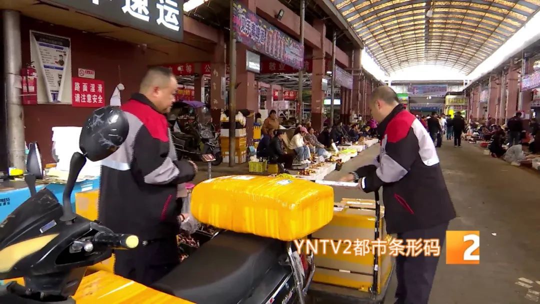 才开始，单日寄件已超2000单！云南野生菌火到全国各地……