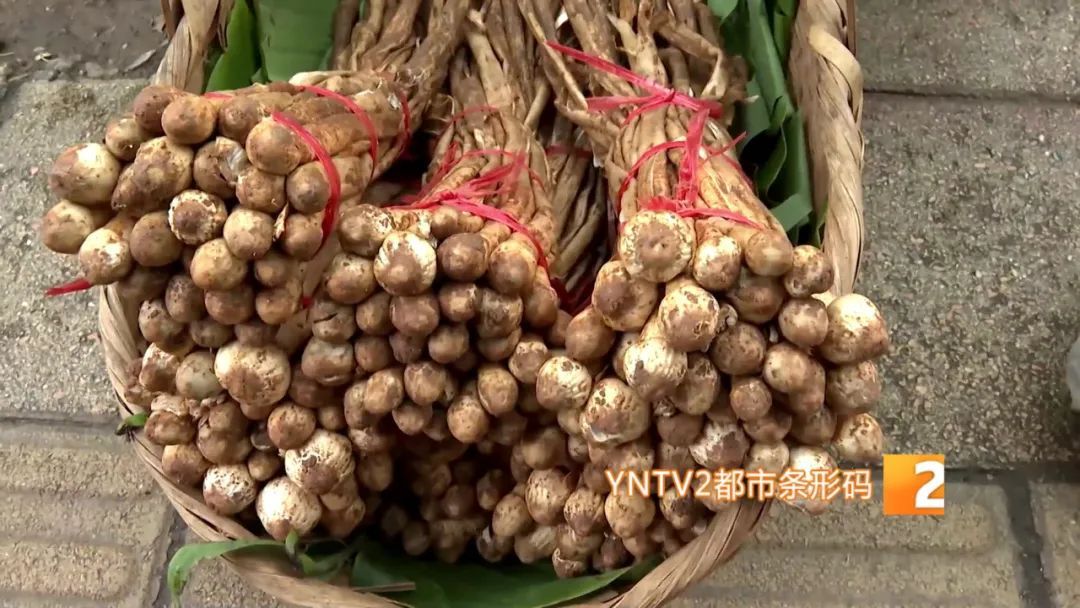 才开始，单日寄件已超2000单！云南野生菌火到全国各地……