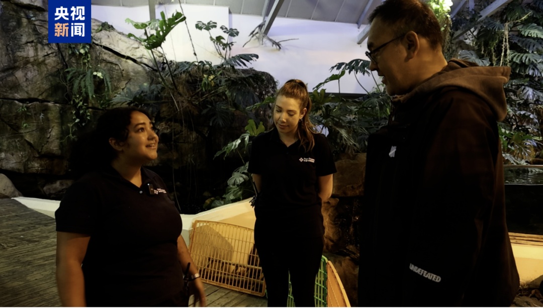 这一全球极危物种濒临野外灭绝 这一全球极危物种濒临野外灭绝