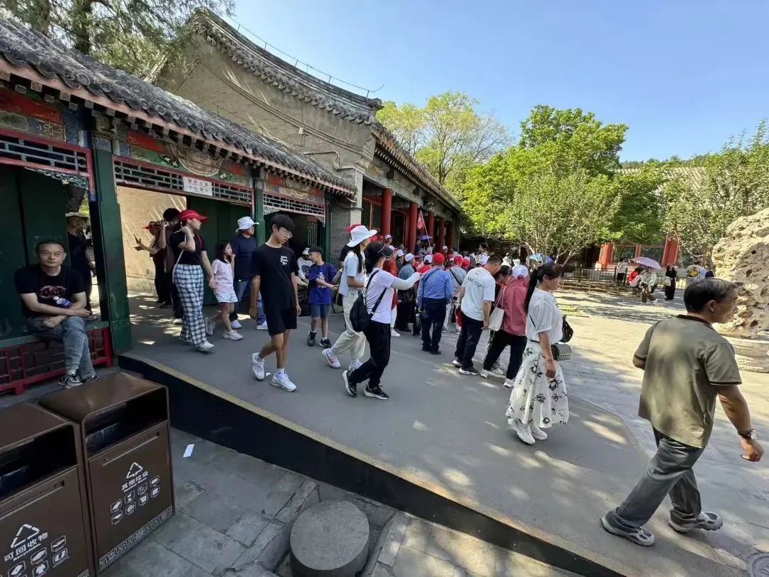 银发旅游，在路上“再青春”