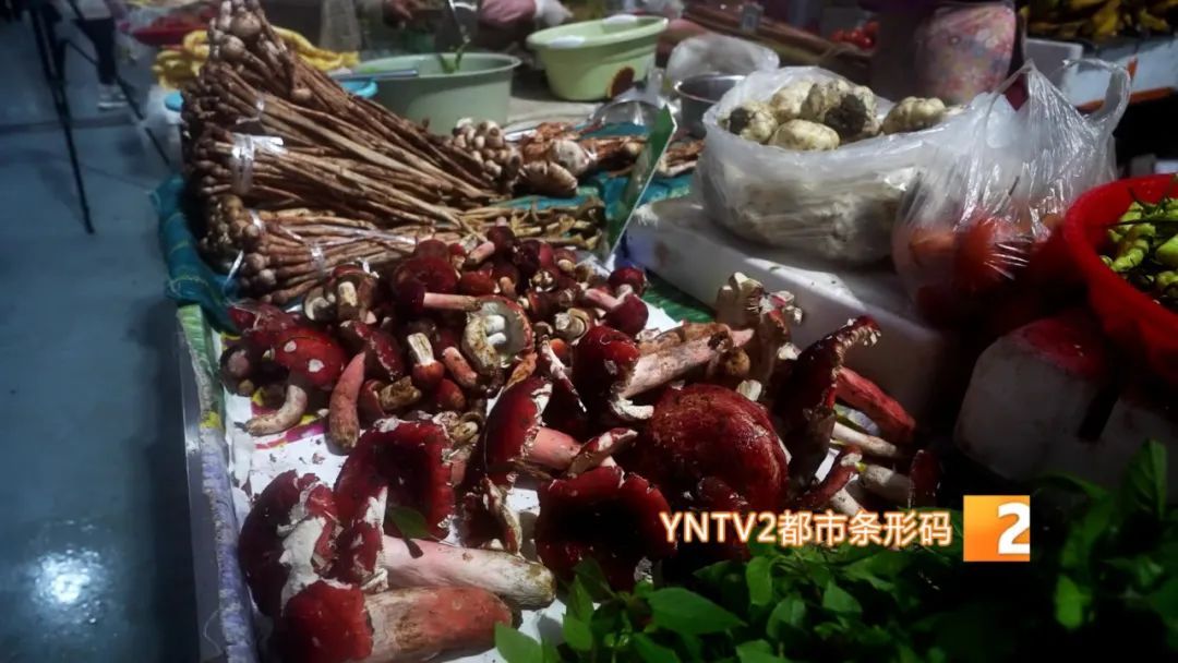 才开始，单日寄件已超2000单！云南野生菌火到全国各地……