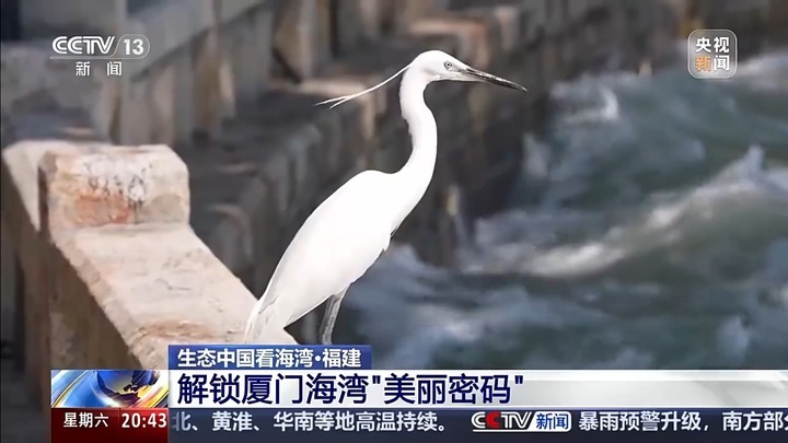保护潮起潮落间的美丽!看,这是建设海湾的“硬核”实力 保护潮起潮落间的美丽!看,这是建设海湾的“硬核”实力