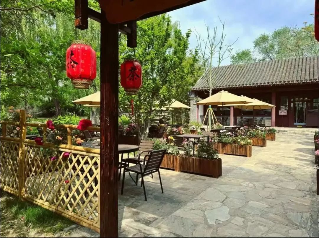 银发旅游，在路上“再青春”