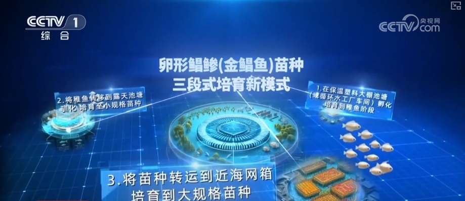 海洋生态保护向“智”向“新” 耕牧“蓝色粮仓”奏响向海图强海洋牧歌