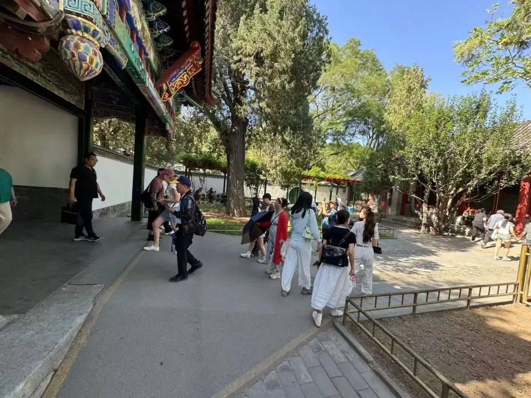 银发旅游，在路上“再青春”