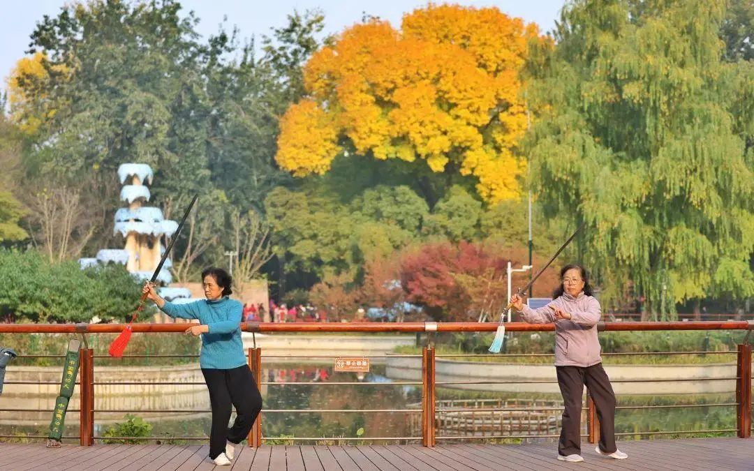 银发旅游，在路上“再青春”