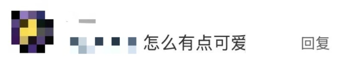 “我的学校，谢谢你给我打的五十块钱，虽然不知道是为什么……”