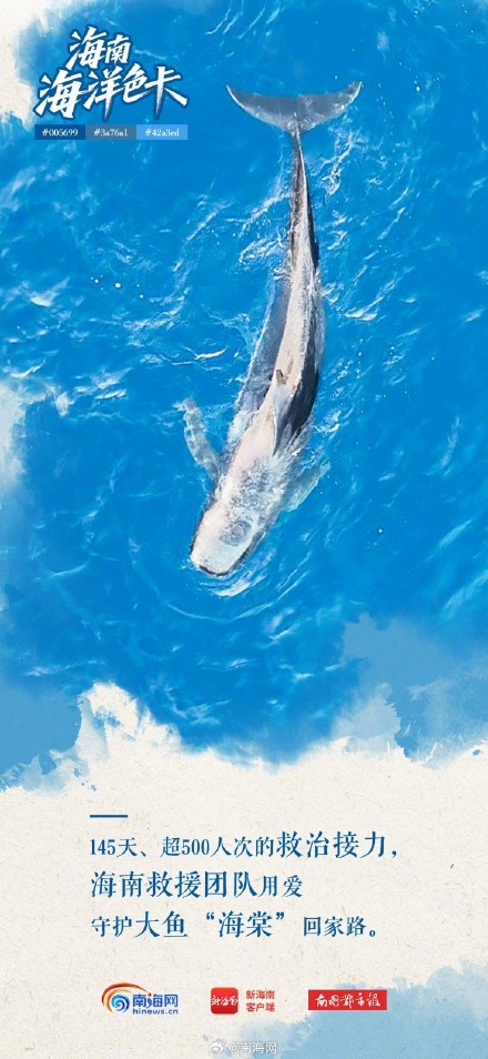 海南海洋“多巴胺配色”,每一帧都是屏保! 海南海洋“多巴胺配色”,每一帧都是屏保!