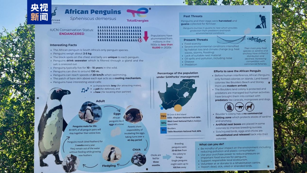 这一全球极危物种濒临野外灭绝 这一全球极危物种濒临野外灭绝