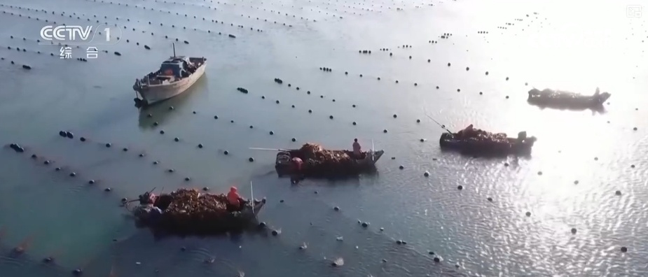 海洋生态保护向“智”向“新” 耕牧“蓝色粮仓”奏响向海图强海洋牧歌