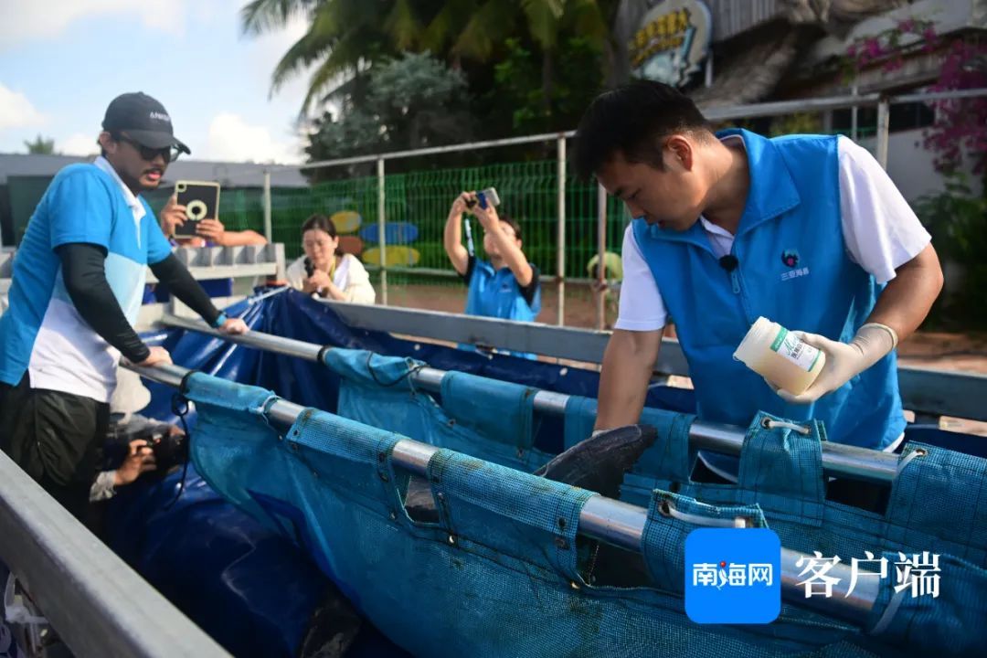 今天,“阳阳”回家! 今天,“阳阳”回家!