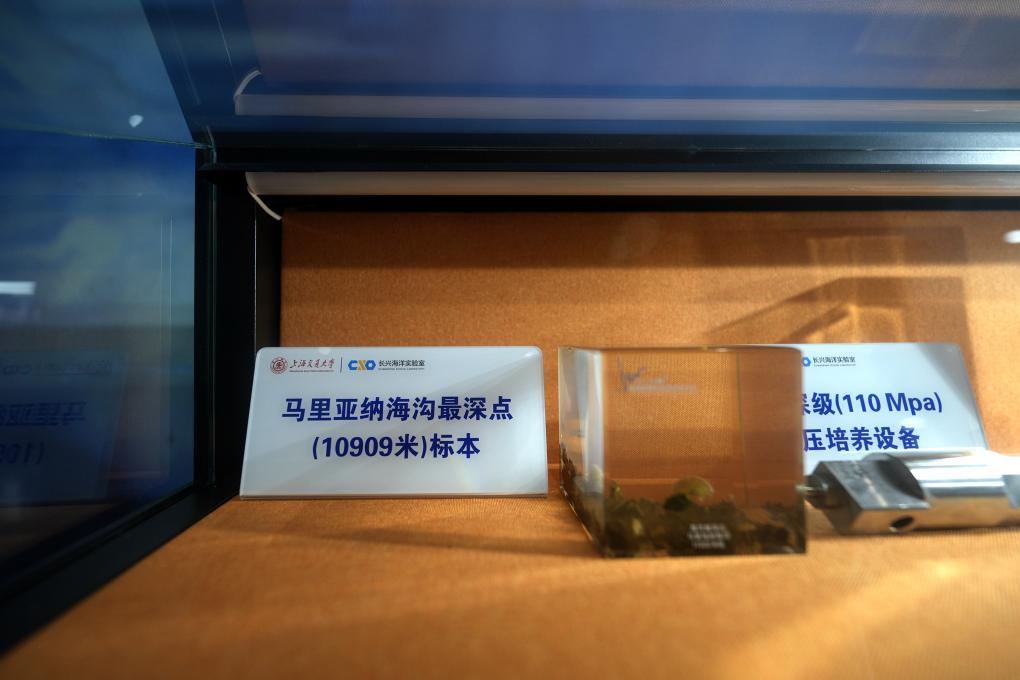 35年探秘深海取得哪些成就?跟着这个展览来了解 35年探秘深海取得哪些成就?跟着这个展览来了解