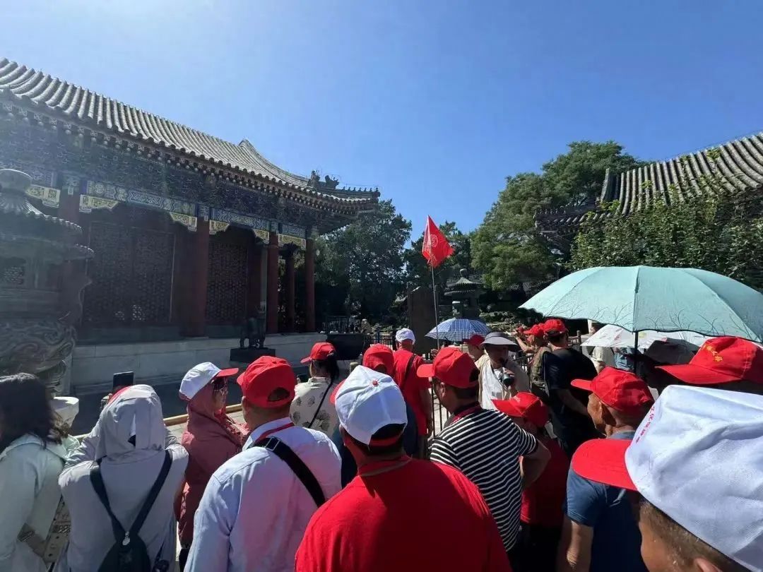 银发旅游，在路上“再青春”