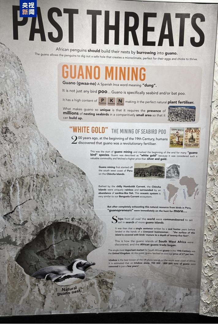 这一全球极危物种濒临野外灭绝 这一全球极危物种濒临野外灭绝