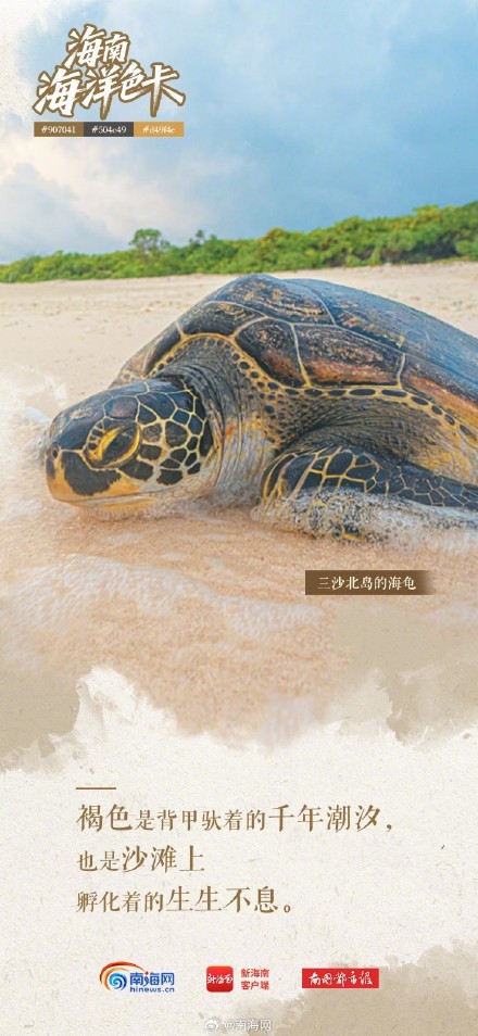 海南海洋“多巴胺配色”,每一帧都是屏保! 海南海洋“多巴胺配色”,每一帧都是屏保!