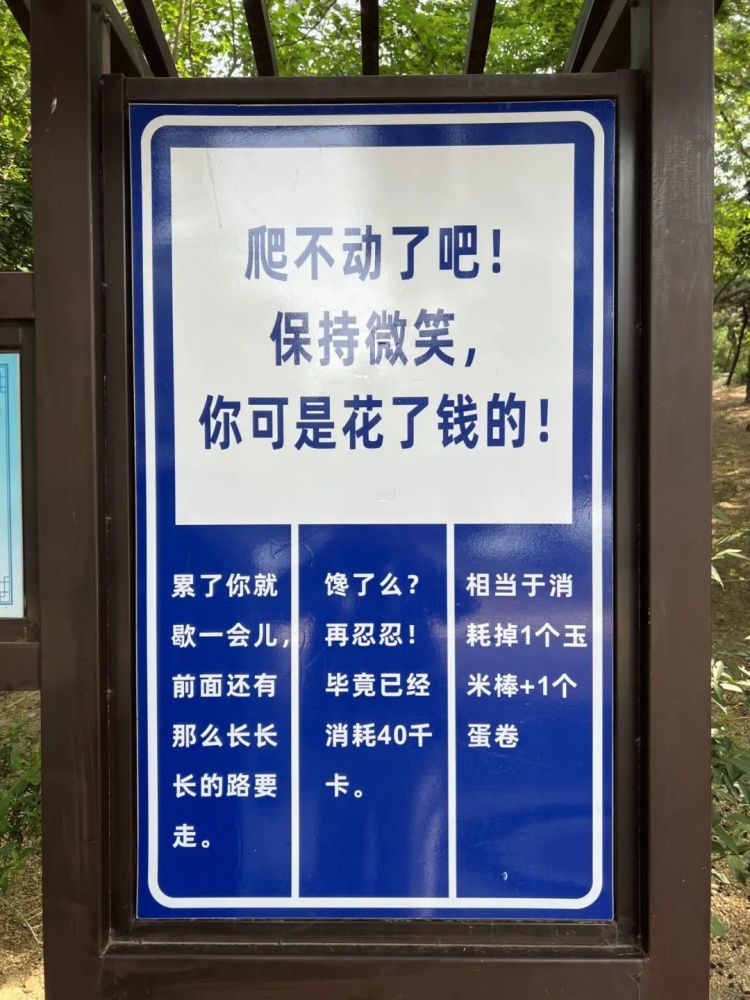 青岛知名景区指示牌全网爆火!网友:山上的笋被你夺完了!官方:没错,是我们干的 青岛知名景区指示牌全网爆火!网友:山上的笋被你夺完了!官方:没错,是我们干的