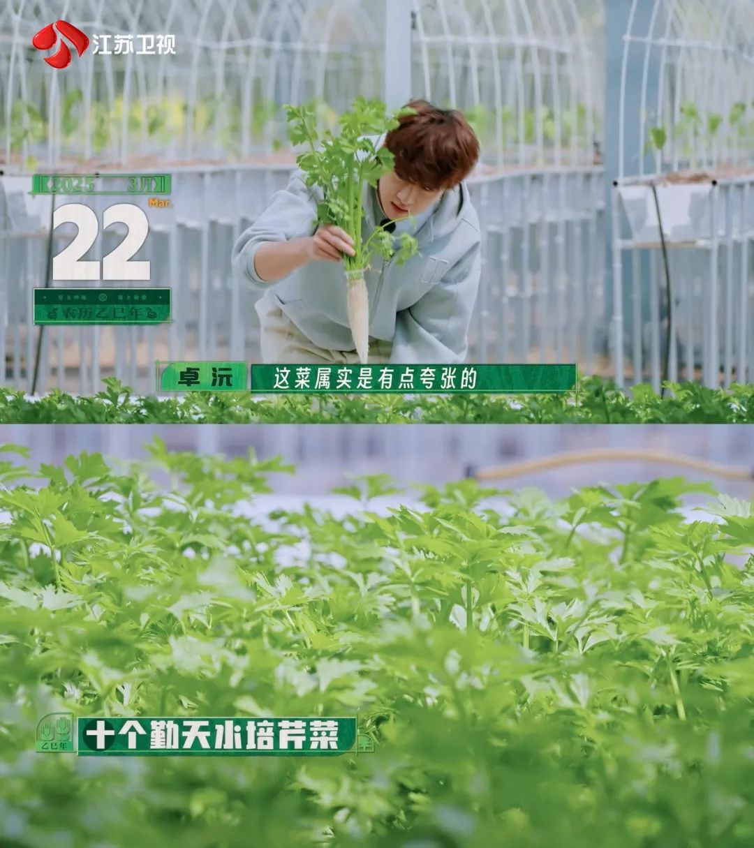 今晚，李乃文唐旭张子贤做客《种地吧3》花式投喂十个勤天