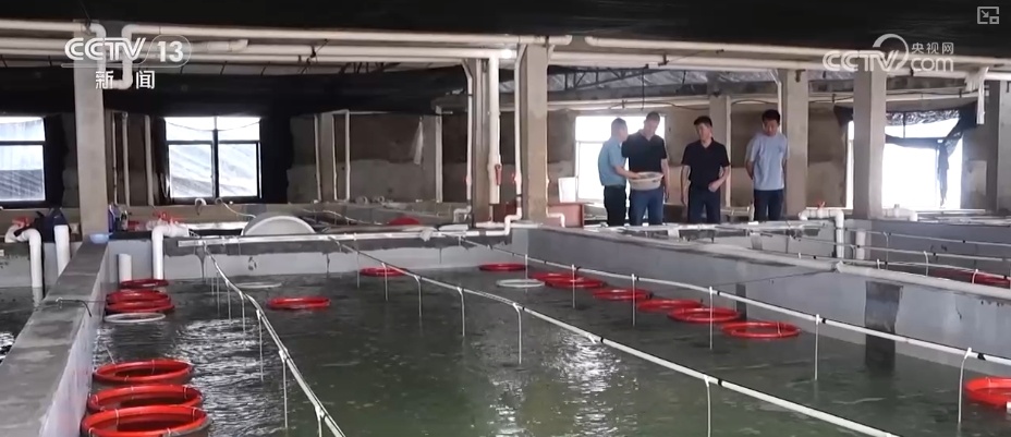 制度完善→设施升级→系统修复,结硕果!多维度绘就海洋生态保护美丽画卷 制度完善→设施升级→系统修复,结硕果!多维度绘就海洋生态保护美丽画卷