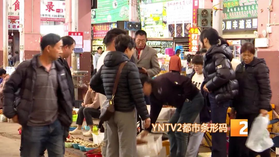 才开始，单日寄件已超2000单！云南野生菌火到全国各地……