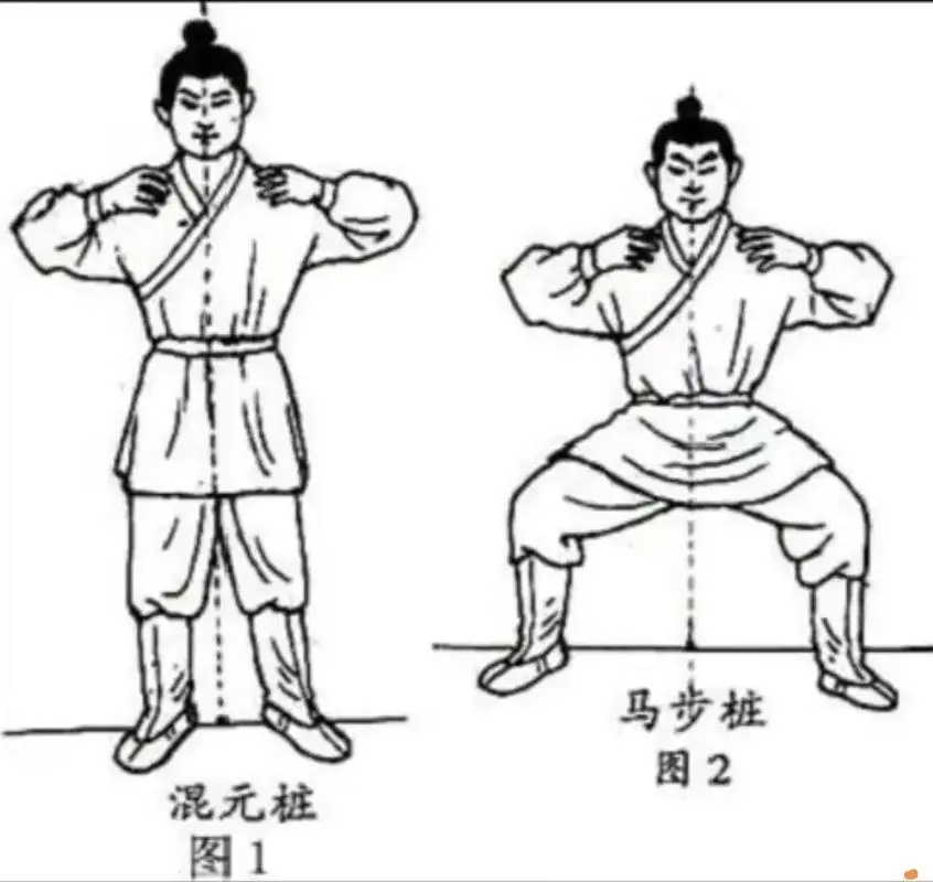 一项中西医都推荐的运动，连内脏都锻炼到了！夏天练正合适！