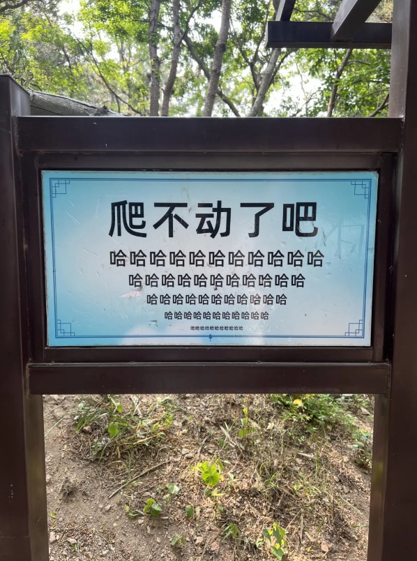 青岛知名景区指示牌全网爆火!网友:山上的笋被你夺完了!官方:没错,是我们干的 青岛知名景区指示牌全网爆火!网友:山上的笋被你夺完了!官方:没错,是我们干的