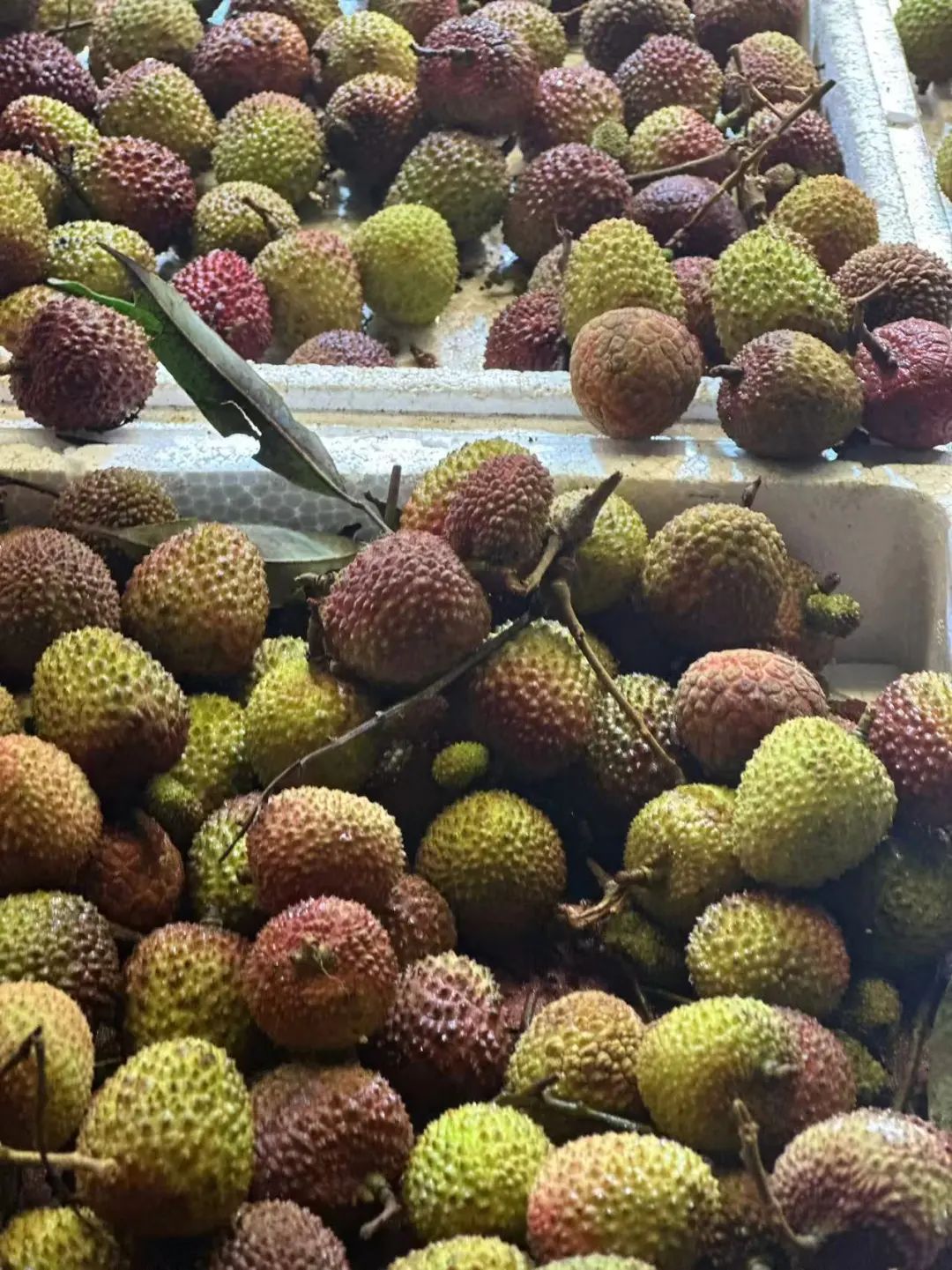 连吃多天!台州28岁女子突然确诊!医生提醒:别贪多 连吃多天!台州28岁女子突然确诊!医生提醒:别贪多