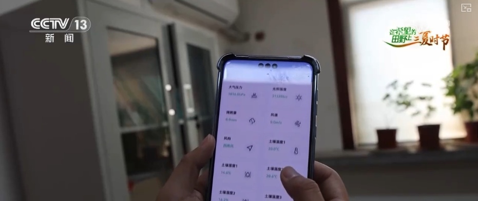 智慧“新成员”大展身手服务“三夏”生产 “减损增收”从目标变为现实