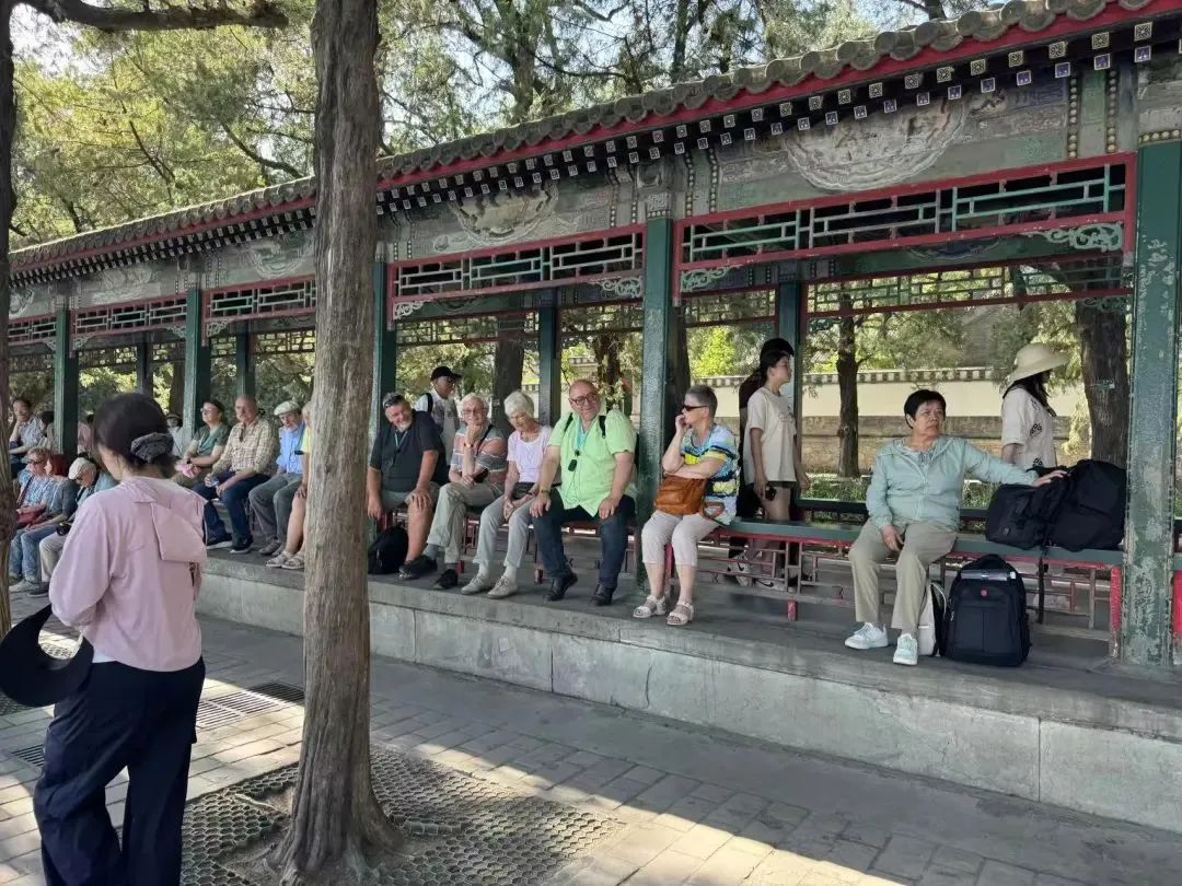银发旅游，在路上“再青春”